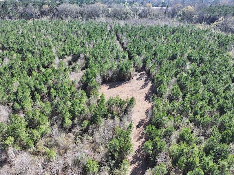 dji_fly_20260302_131118_0356_1772559695309_photo