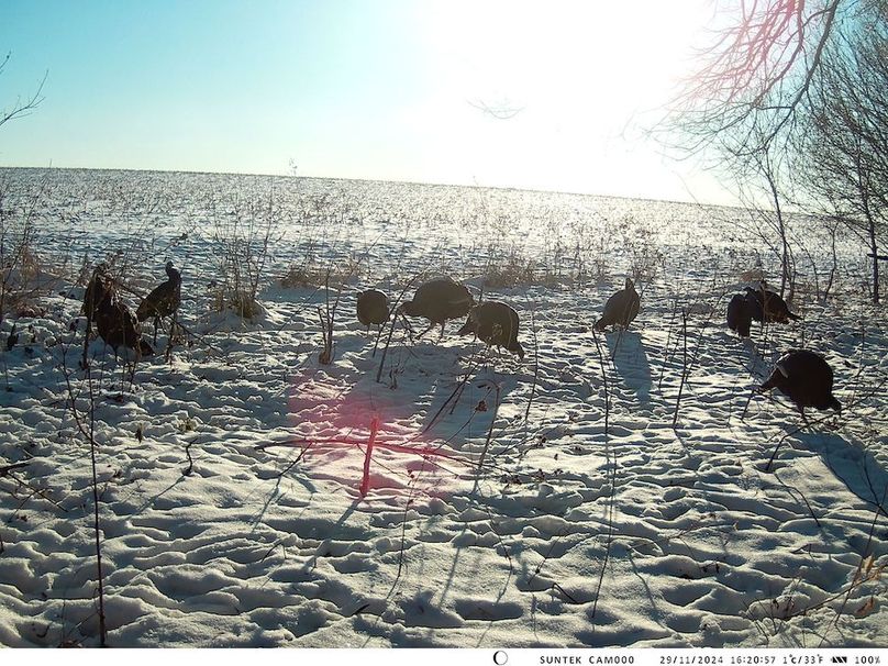 2024-1129-162058_000424