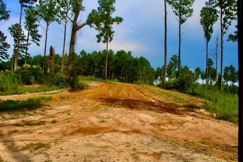 35DA710C-D339-4C9C-906E-E78D9F3D5195_1_105_c