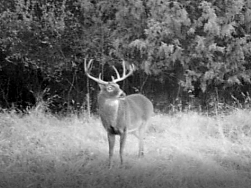 Screenshot 2024-03-02 134718