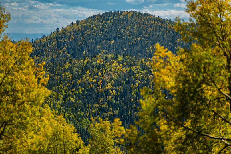 Teller Co 4.65 Thomas - 025 Southern View