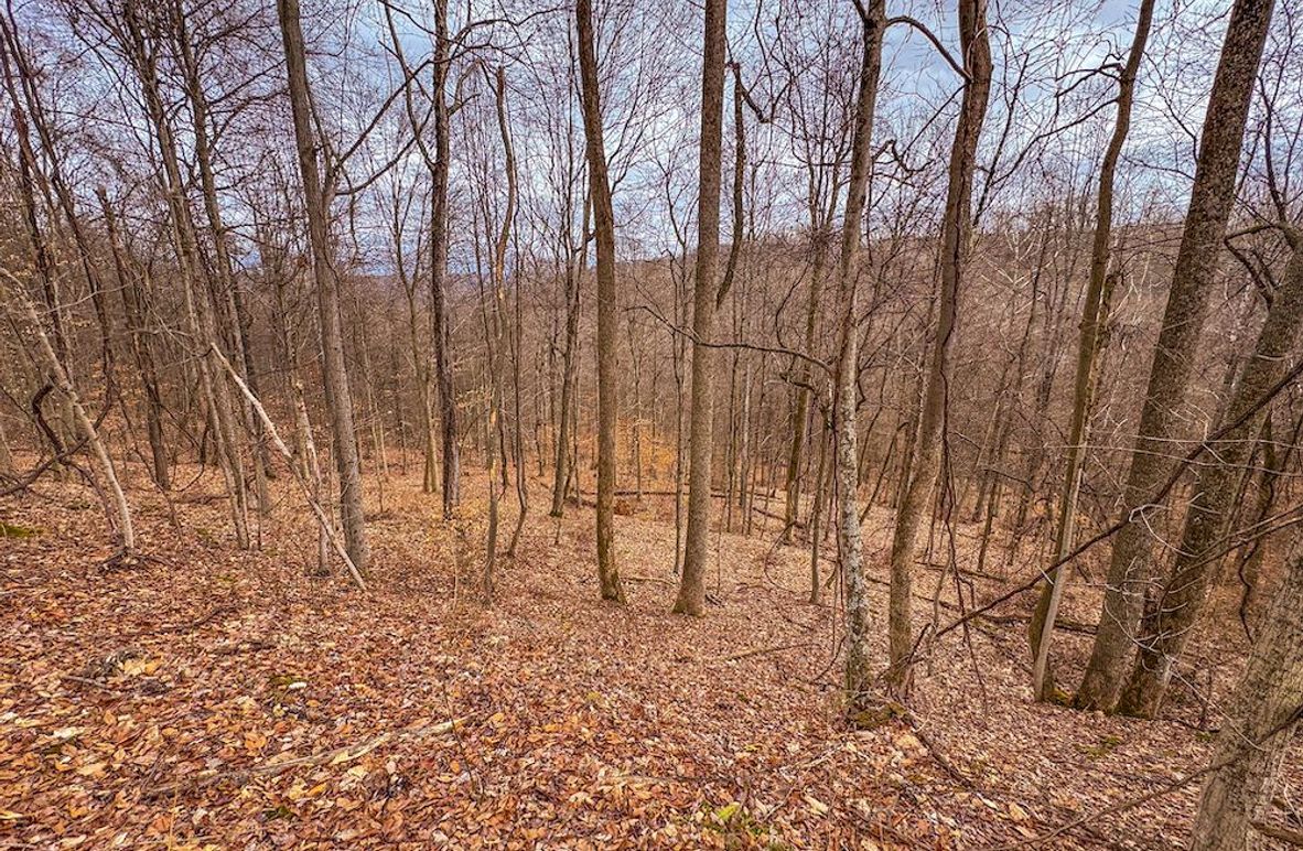 Tyler, WV 90 AC Burkhart-05