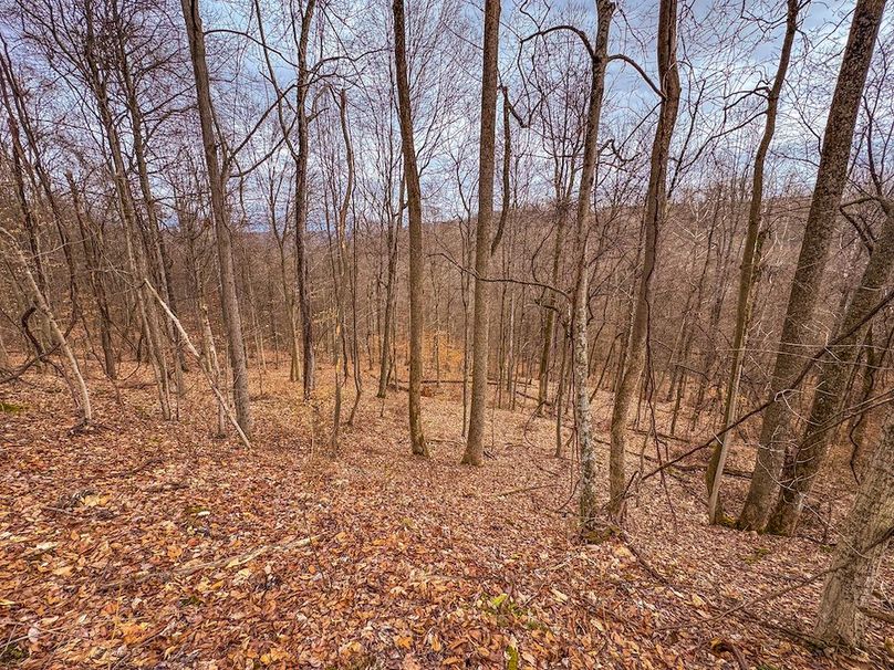 Tyler, WV 90 AC Burkhart-05