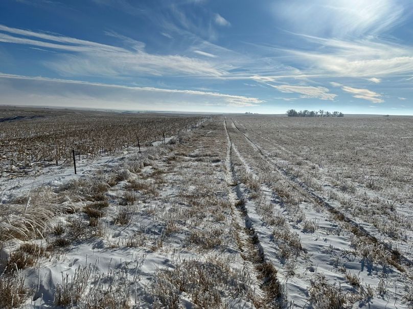 A5C1AA14-296B-4C9B-A828-7F7FA0F43703_1_105_c