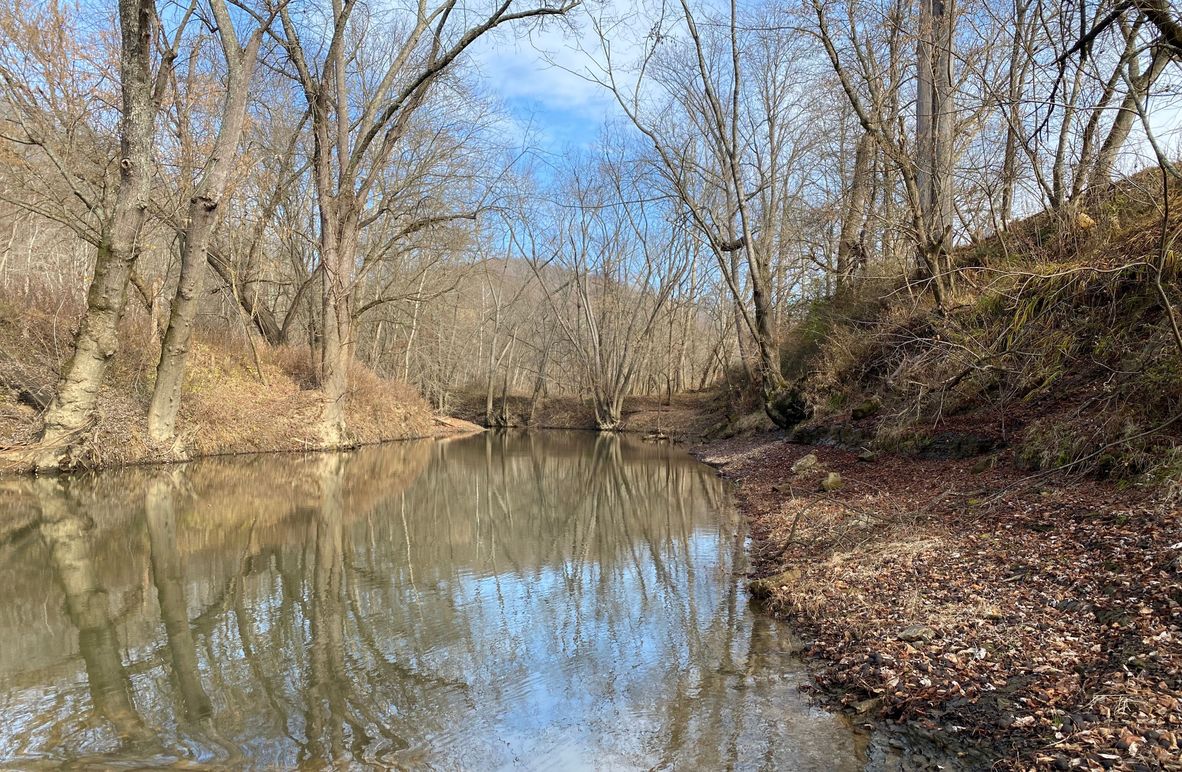 004 nearly 2.5 miles of the beautiful and majestic Licking River running along and through the property copy