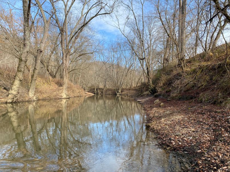 004 nearly 2.5 miles of the beautiful and majestic Licking River running along and through the property copy