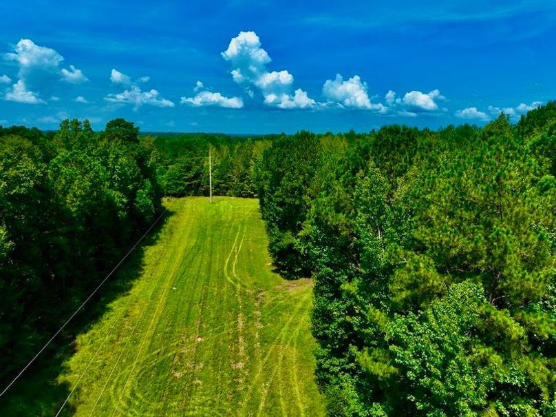 981F0A2A-EE2A-485C-BFDF-326F387C95C3_1_105_c