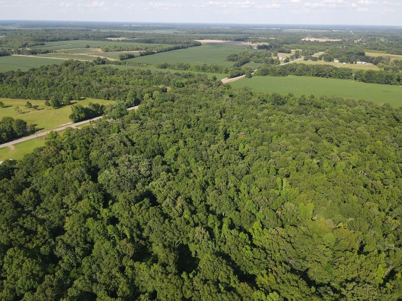 38E2E4AA-8C19-401C-BE75-0A4247FF2F6F_1_102_o