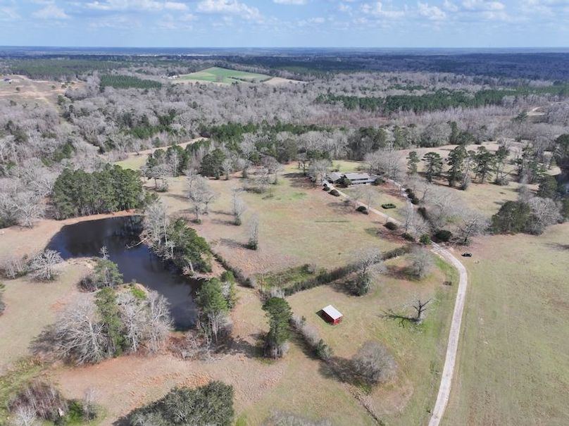 dji_fly_20260220_123706_0199_1771858380394_photo