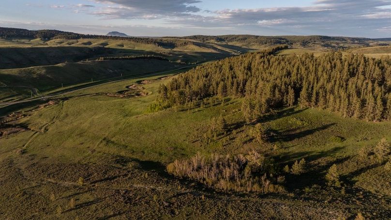 E8E0E48A-64A5-465A-8CD0-B4DF4BD1865A