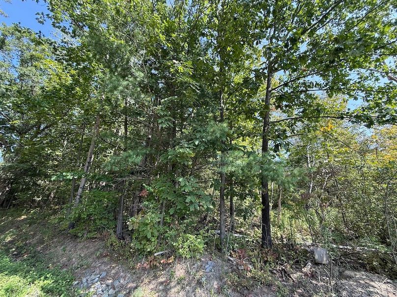 Chemung_20.82_Meyers Photo 24