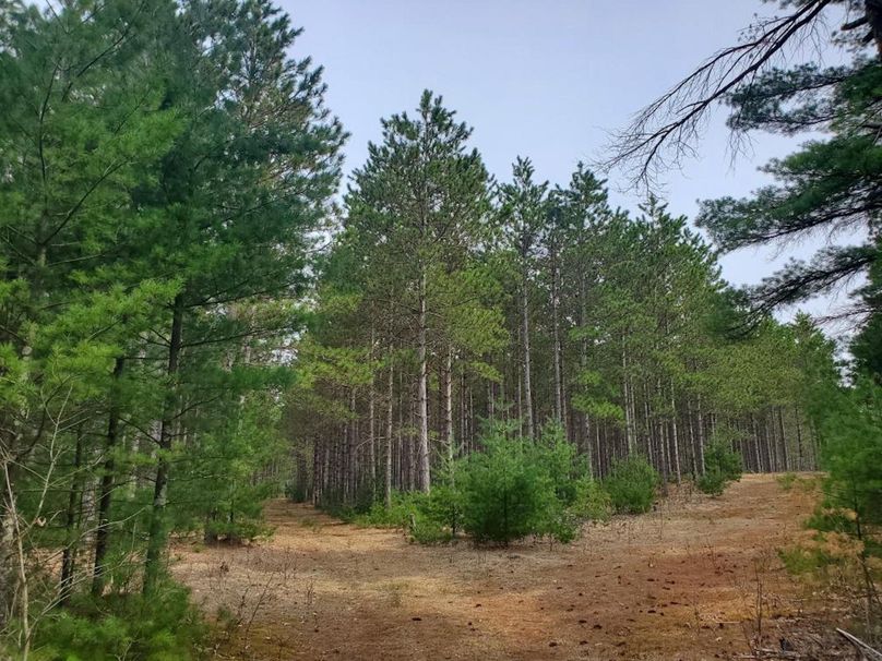 Resized_20230428_104525