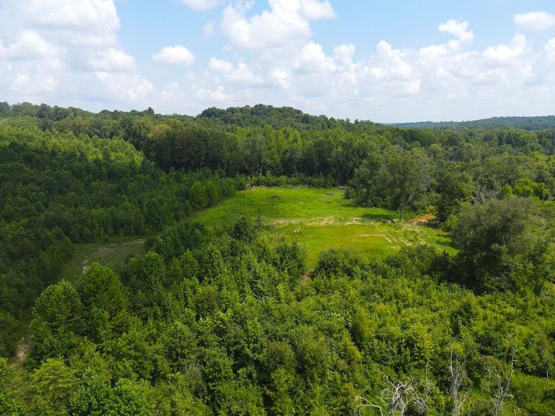 dji_fly_20250729_115044_836_1753804310427_photo