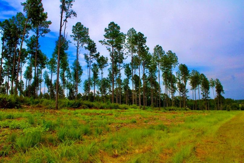 8EC79D27-6001-47B3-9EAA-B63834017343_1_105_c