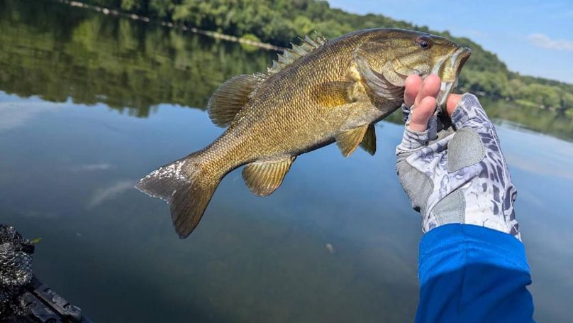 Morgan 111 Trail Cam 9