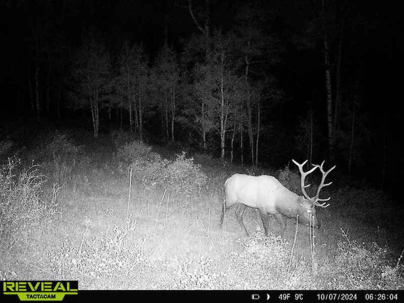 Copy of 864049052055672-10-4-10072024062604-HD-W1001356 (1)