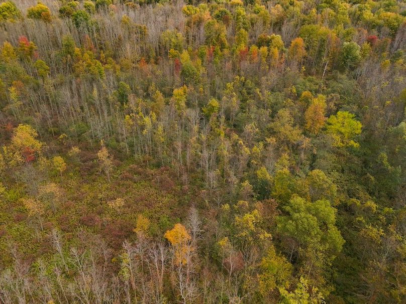 Wayne_29.09_BD_LandNorth_Parcel_20