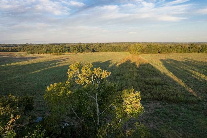 Lamar County- 93 acre reshoot (29 of 38)