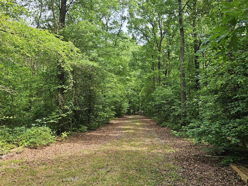 37.98ac_TempleRd_BGORE_17_DRIVEWAY