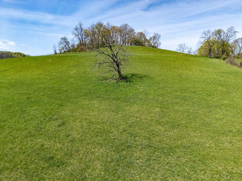 DJI_20250424100427_0235_D