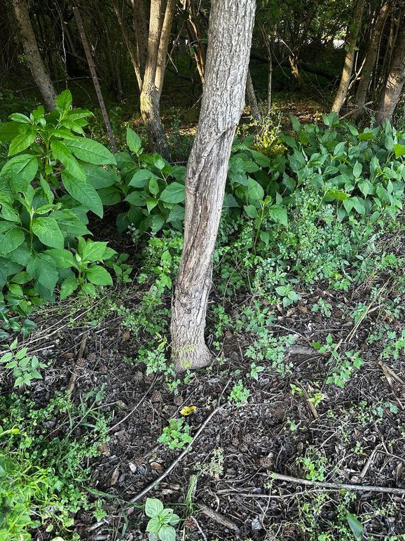 Copy of IMG_7699 (1)