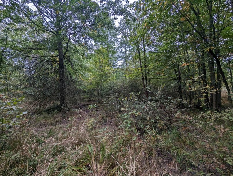 PXL_20230925_225950288