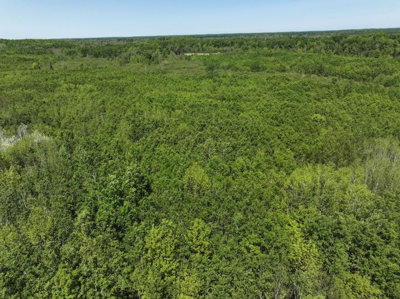 DJI_20250601163025_0007_D