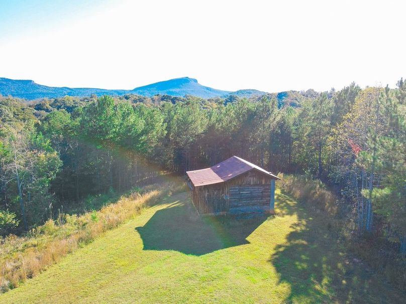 dji_fly_20241010_165142_914_1728593513236_photo