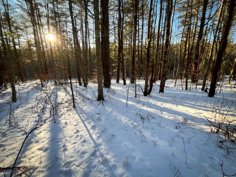 Tioga_11.9_Kilroy_Photos_1