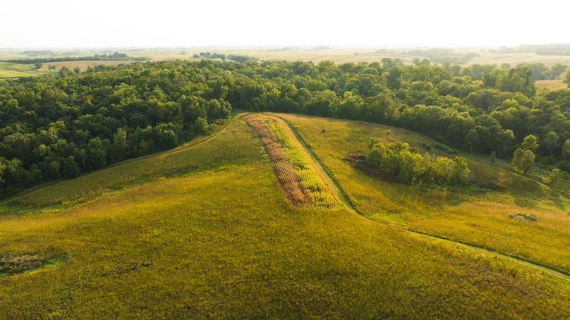 Cedar IA 152 Featured Z50