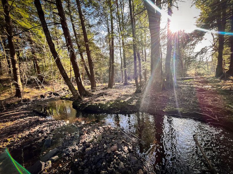 Oswego_17.88_Feld_Photos_34