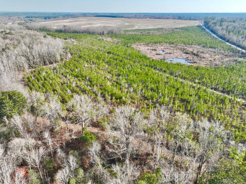 dji_fly_20250225_161028_461_1740517918900_photo