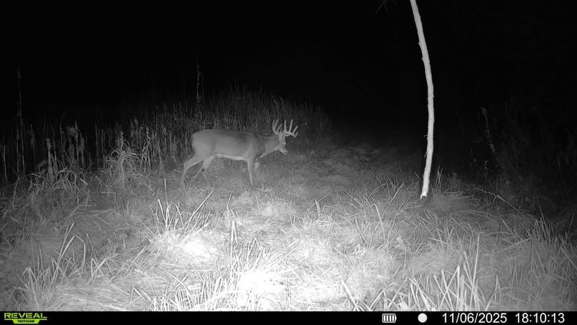 016579007498152-100-4-11062025181013-SYFW01525