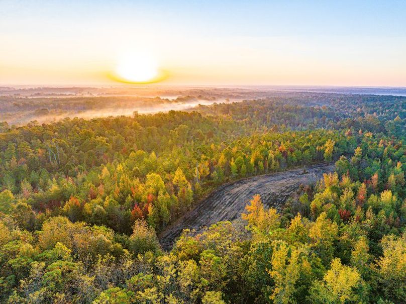 Clay 302.7 Henderson-55