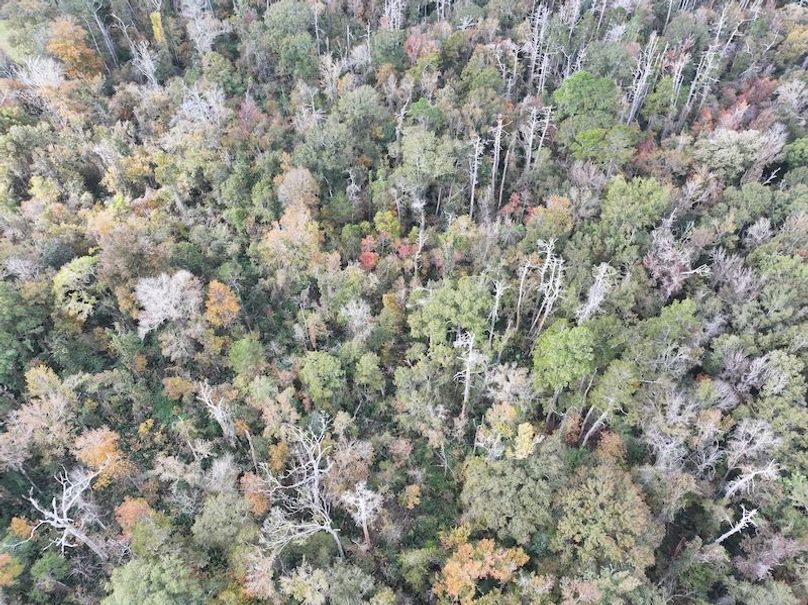 dji_fly_20251118_121438_0730_1763560718534_photo