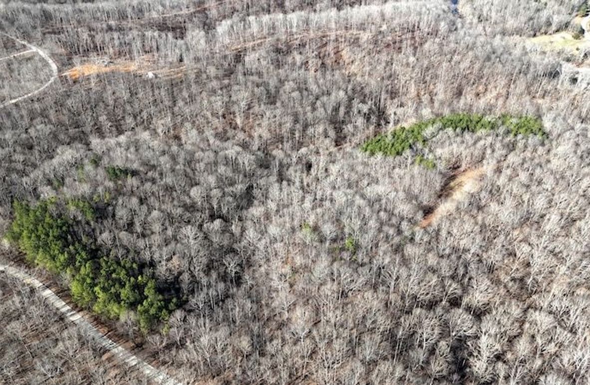 DJI_20260112112849_0016_D