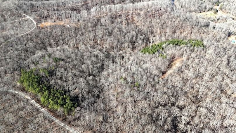 DJI_20260112112849_0016_D