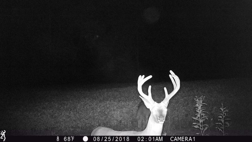 trail cam3