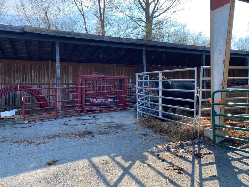054 the corridor between the 16_x120_ storage shed and steel shed copy
