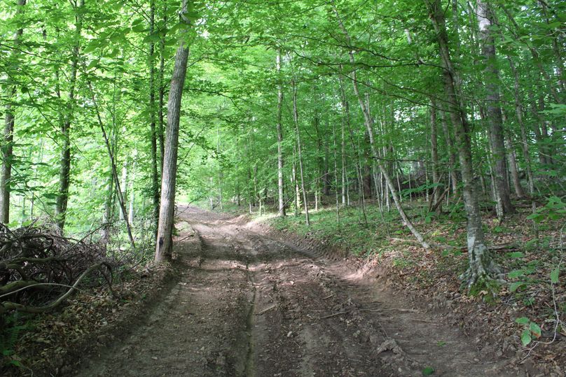 005 network of roads and trails leading to the upper elevations
