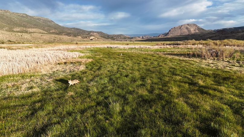 Lucky River Bottom Ranch08