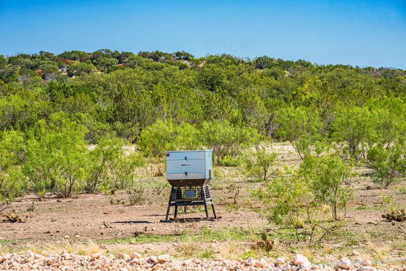 35-web-or-mls-DSC08618