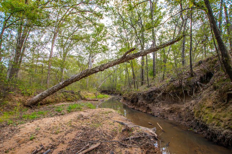 19 Upshur Co 603 ac Weise