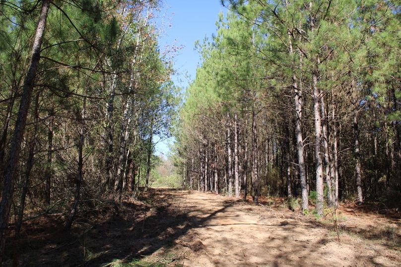 8DAA2233-81C6-4A03-9839-CC3FE3EFC6CD_1_105_c