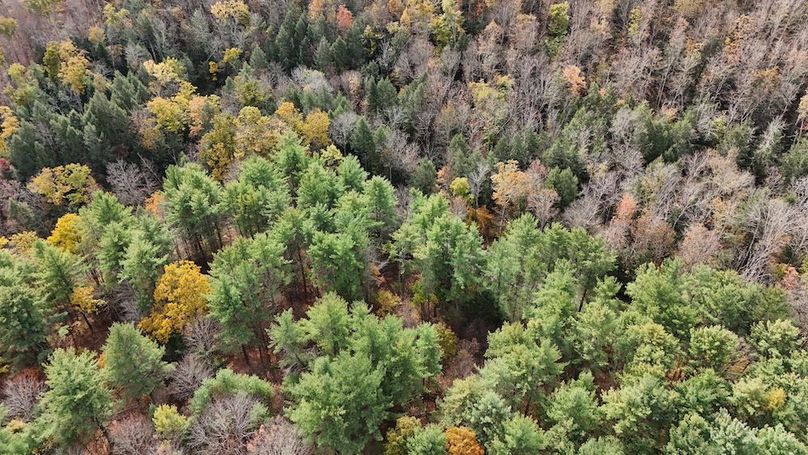 DJI_20251017132201_0752_D