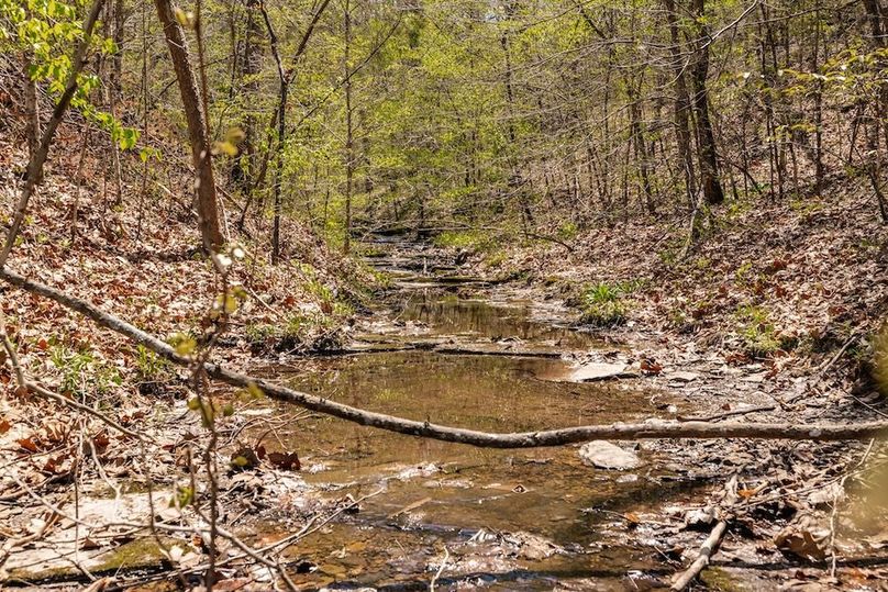 84-web-or-mls-0 Mound Creek Rd-54