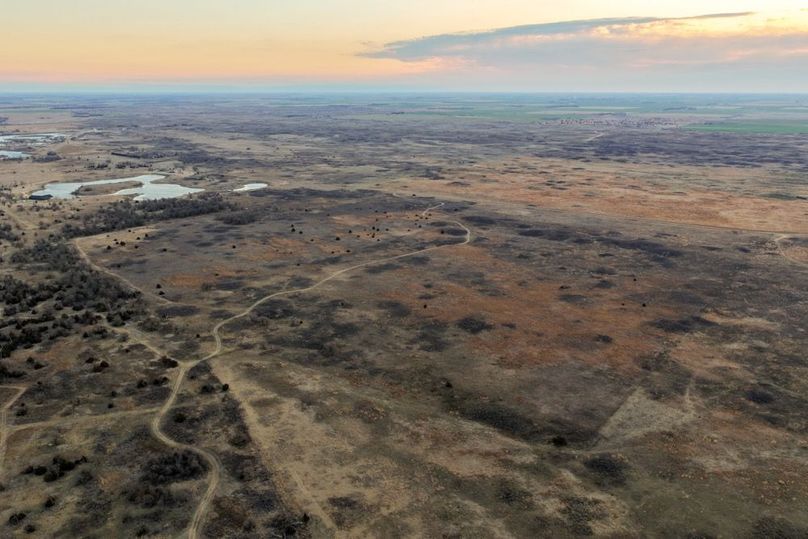 DJI_20260311080855_0502_D