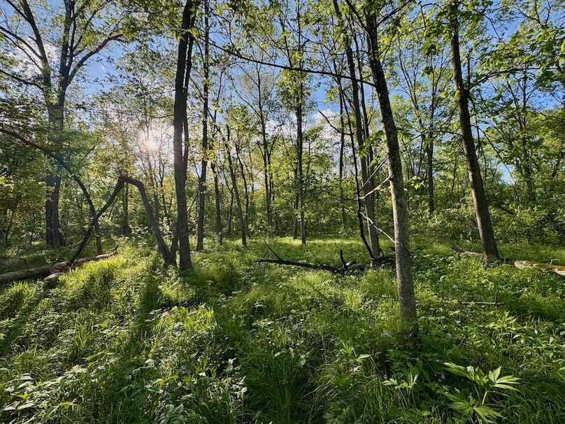 La Crosse 56.17 - 24