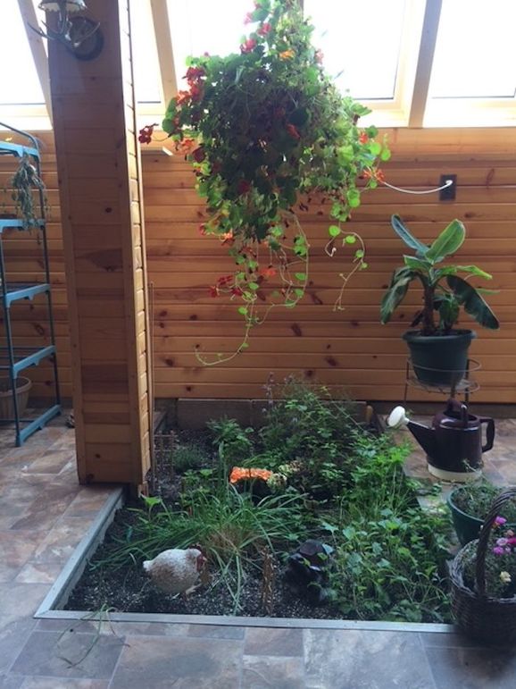Sunroom Garden