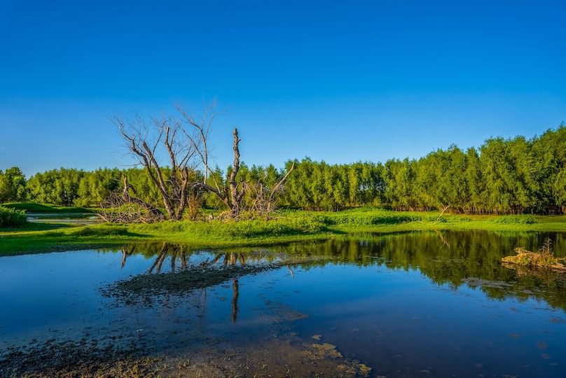 Leon River Ranch-50